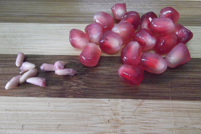 Growing Bonsai From Seed 